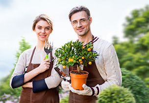 Проект «под ключ» где можно заказать по низкой цене  в Волжском