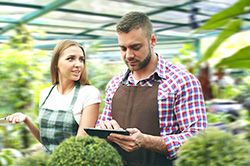 Дендроплан - верное планирование территории и решения этой задачи на уровне  в Волжском