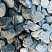 Kamenclub.ru: Щебень галтованный зеленый (змеевик) фр. 50-100 мм.  купить в Волжском галтовка мраморная зеленый, салатовый мрамор 12 500 руб/т   фото КАМЕНЬ КЛУБ