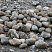 Kamenclub.ru: Речной валун (Ассорти) фр.100-300 мм.  купить в Волжском галечник серый, темно-серый, светло-серый речная галька крупных размеров 4200 руб/т   фото КАМЕНЬ КЛУБ