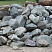 Kamenclub.ru: Гранит скальник (серо-зеленый) фр. 100-500 мм.  купить в Волжском гранит зеленый, серый, салатовый крупный ландшафтный валун 6 000 руб/т   фото КАМЕНЬ КЛУБ