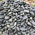 Kamenclub.ru: Темно-серый валунчик фр.100-300 мм.  купить в Волжском крупный природный камень серый, темно-серый, светло-серый речная галька большого размера окатанная 4500 руб/т   фото КАМЕНЬ КЛУБ