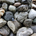 Kamenclub.ru: Речной валун Кабанчик фр.300-500 мм.  купить в Волжском крупный природный камень галька серый, темно-серый речной валун галечник масштабный 7000 руб/т   фото КАМЕНЬ КЛУБ