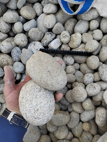 Kamenclub.ru: Галька речная окат (серо-белая) фр. 70-120 мм купить  в Волжском галька галечник бело-серая, серо-белая, серая, белая речная природная галька  8000 руб/т   фото КАМЕНЬ КЛУБ