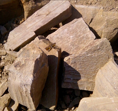 Kamenclub.ru: Песчаник пластушка желтый с рисунком (7-15 см)  купить в Волжском плитняк - пластушка - бут желтый песчаник 10200 руб/м3   фото КАМЕНЬ КЛУБ