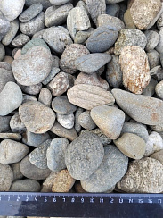 Kamenclub.ru: Галька речная окат (пестрая) фр. 20-40 мм. купить  в Волжском галька речная пестрая, серая, серые оттенки галька речная окатанная округлая 5000 руб/т   фото КАМЕНЬ КЛУБ