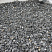 Kamenclub.ru: Щебень крошка черный (мрамор) фр. 10-20 мм.  купить в Волжском мрамор черный с белыми прожилками, черный, белый каменная ландшафтная декоративная крошка щебня 11000 руб/т   фото КАМЕНЬ КЛУБ