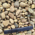 Kamenclub.ru: Галька речная окат рыжая фр. 20-40 мм. купить  в Волжском галька речная окатанная рыжая желтая серая округлая речная галька 5000 руб/т   фото КАМЕНЬ КЛУБ