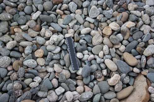 Kamenclub.ru: Галька речная окат (пестрая) фр. 20-40 мм. купить  в Волжском галька речная пестрая, серая, серые оттенки галька речная окатанная округлая 5000 руб/т   фото КАМЕНЬ КЛУБ