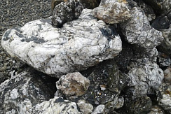 Kamenclub.ru: Черный гранит - кварцит фр. 100-500 мм.  купить в Волжском мрамор гранит черный с белыми прожилками, серый, белый валун скальный колотый 7000 руб/т   фото КАМЕНЬ КЛУБ