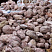 Kamenclub.ru: Розовый валунчик фр.100-300 мм.  купить в Волжском крупный природный камень розовый, серый молочный красный речной галечник природный 7850 руб/т   фото КАМЕНЬ КЛУБ