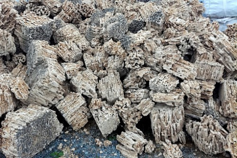 Kamenclub.ru: Крымский природный меотис фр. 100-500 мм.  купить в Волжском меотис бежевый рыжий молочный желтый ракушечник 4 500 руб/т   фото КАМЕНЬ КЛУБ