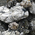 Kamenclub.ru: Черный гранит - кварцит фр. 100-500 мм.  купить в Волжском мрамор гранит черный с белыми прожилками, серый, белый валун скальный колотый 7000 руб/т   фото КАМЕНЬ КЛУБ
