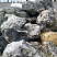 Kamenclub.ru: Черный гранит - кварцит фр. 500-1000 мм.  купить в Волжском гранит кварцит черный серый белый скальный колотый валун 9750 руб/т   фото КАМЕНЬ КЛУБ