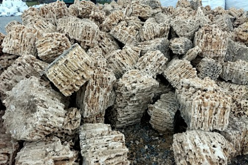 Kamenclub.ru: Крымский природный меотис фр. 100-500 мм.  купить в Волжском меотис бежевый рыжий молочный желтый ракушечник 4 500 руб/т   фото КАМЕНЬ КЛУБ