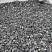 Kamenclub.ru: Щебень крошка черный (мрамор) фр. 20-40 мм.  купить в Волжском мрамор черный с белыми прожилками мраморная каменная крошка 11000 руб/т   фото КАМЕНЬ КЛУБ