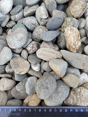Kamenclub.ru: Галька речная окат (серая) фр.40-60 мм купить  в Волжском галька речная серый бежевый рыжий коричневый округлый речной камень 5000 руб/т   фото КАМЕНЬ КЛУБ