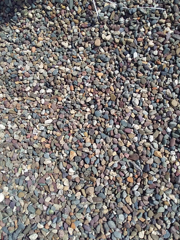 Kamenclub.ru: Галька речная окат цветная фр.5-10 мм. купить  в Волжском галька речная белый, серый, красноватый, синий, темно-серый речная окатанная галька декоративная 6800 руб/т   фото КАМЕНЬ КЛУБ