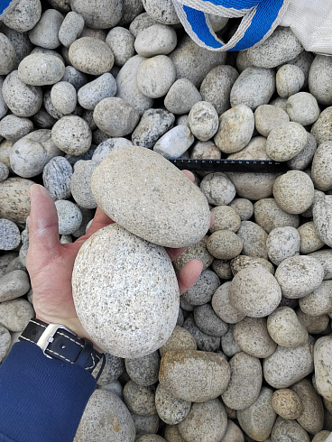 Kamenclub.ru: Галька речная окат (серо-белая) фр. 70-120 мм купить  в Волжском галька галечник бело-серая, серо-белая, серая, белая речная природная галька  8000 руб/т   фото КАМЕНЬ КЛУБ