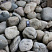Kamenclub.ru: Темно-серый валунчик фр.100-300 мм.  купить в Волжском крупный природный камень серый, темно-серый, светло-серый речная галька большого размера окатанная 4500 руб/т   фото КАМЕНЬ КЛУБ