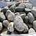Kamenclub.ru: Речной валун (Ассорти) фр.100-300 мм.  купить в Волжском галечник серый, темно-серый, светло-серый речная галька крупных размеров 4200 руб/т   фото КАМЕНЬ КЛУБ