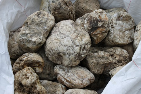 Kamenclub.ru: Кварцевый валунчик фр.100-300 мм.  купить в Волжском кварц белый, бежевый молочный рыжий крупный природный камень галечник 7850 руб/т   фото КАМЕНЬ КЛУБ