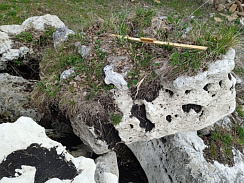 Kamenclub.ru: Выветренный известняк (степной) фр. 500-1500 мм.  купить в Волжском    10000 руб/т   фото КАМЕНЬ КЛУБ