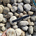 Kamenclub.ru: Галька речная окат (серо-белая) фр. 70-120 мм купить  в Волжском галька галечник бело-серая, серо-белая, серая, белая речная природная галька  8000 руб/т   фото КАМЕНЬ КЛУБ