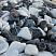 Kamenclub.ru: Мраморная крошка (щебень галтованный микс:: белый-черный) фр.20-40 мм  купить в Волжском мрамор белый, черный мраморный галтованный щебень 15500 руб/т   фото КАМЕНЬ КЛУБ
