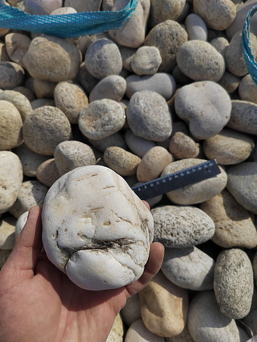 Kamenclub.ru: Галька речная окат (серо-белая) фр. 70-120 мм купить  в Волжском галька галечник бело-серая, серо-белая, серая, белая речная природная галька  8000 руб/т   фото КАМЕНЬ КЛУБ