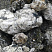 Kamenclub.ru: Черный гранит - кварцит фр. 100-500 мм.  купить в Волжском мрамор гранит черный с белыми прожилками, серый, белый валун скальный колотый 7000 руб/т   фото КАМЕНЬ КЛУБ