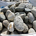 Kamenclub.ru: Речной валун (Ассорти) фр.100-300 мм.  купить в Волжском галечник серый, темно-серый, светло-серый речная галька крупных размеров 4200 руб/т   фото КАМЕНЬ КЛУБ