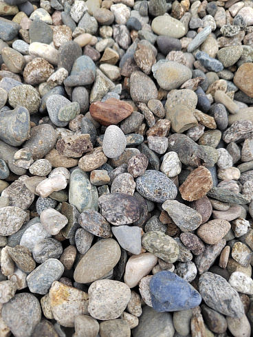Kamenclub.ru: Галька речная окат (серая) фр.10-20 мм купить  в Волжском галька речная серая, серый, темно-серый, светло-серый, коричневый ландшафтная декоративная речная окатанная округлая галька 5000 руб/т   фото КАМЕНЬ КЛУБ