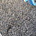 Kamenclub.ru: Галька речная окат (серая) фр.3-5 мм купить  в Волжском галька речная серая бежевый темно-серый окатанный речной камень округлый 9500 руб/т   фото КАМЕНЬ КЛУБ
