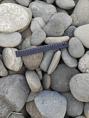 Kamenclub.ru: Галька речная плоская (ассорти) фр. 70-150 мм. купить в Волжском галька галечник серый белый темно-серый синий светло-серый плоская природная галька  9000 руб/т   фото КАМЕНЬ КЛУБ