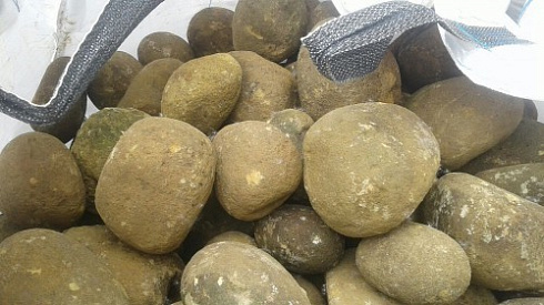 Kamenclub.ru: Песчаник ядра, фр. 100-300 мм  купить в Волжском песчаник бежевый серый рыжий речная галька 5 000 руб/т   фото КАМЕНЬ КЛУБ