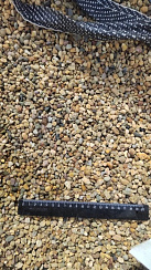 Kamenclub.ru: Галька окат (серо-желтая) фр.5-10 мм. купить  в Волжском галька речная рыжий, желтый, рыжий, серо-желтый речная окатанная галька декоративная 5000 руб/т   фото КАМЕНЬ КЛУБ