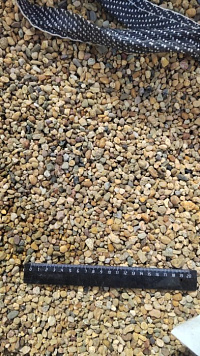 Kamenclub.ru: Галька окат (серо-желтая) фр.5-10 мм. купить  в Волжском галька речная рыжий, желтый, рыжий, серо-желтый речная окатанная галька декоративная 5000 руб/т   фото КАМЕНЬ КЛУБ