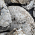 Kamenclub.ru: Кварцевый валунчик фр.100-300 мм.  купить в Волжском кварц белый, бежевый молочный рыжий крупный природный камень галечник 7850 руб/т   фото КАМЕНЬ КЛУБ