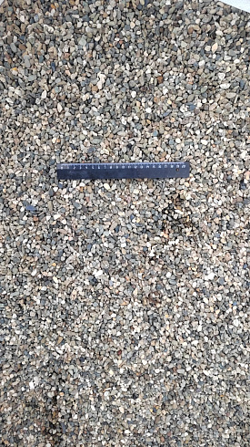 Kamenclub.ru: Галька речная окат (серая) фр.5-10 мм купить  в Волжском галька речная серая, серый, темно-серый, светло-серый, коричневый речная окатанная галька декоративная ландшатфная 5000 руб/т   фото КАМЕНЬ КЛУБ