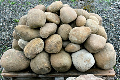Kamenclub.ru: Песчаник ядра, фр. 100-300 мм  купить в Волжском песчаник бежевый серый рыжий речная галька 5 000 руб/т   фото КАМЕНЬ КЛУБ