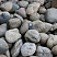 Kamenclub.ru: Речной валун (Ассорти) фр.100-300 мм.  купить в Волжском галечник серый, темно-серый, светло-серый речная галька крупных размеров 4200 руб/т   фото КАМЕНЬ КЛУБ