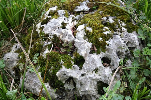 Kamenclub.ru: Выветренный известняк со мхом фр. 100-500 мм.  купить в Волжском известняк серый белый зеленый валун известняковый крупный 10000 руб/т   фото КАМЕНЬ КЛУБ