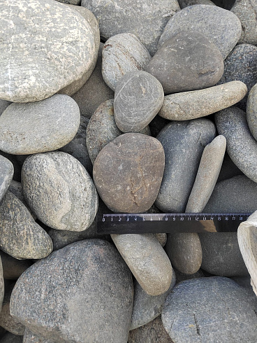 Kamenclub.ru: Галька речная плоская (ассорти) фр. 70-150 мм. купить  в Волжском галька галечник серый белый темно-серый синий светло-серый плоская природная галька  9000 руб/т   фото КАМЕНЬ КЛУБ