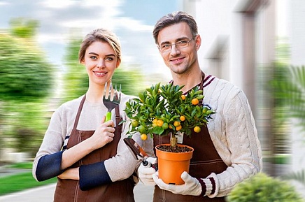 Тренды ландшафтного дизайна - у нас можно заказать природный камень по низким ценам - как заказать, где купить без посредников, куда обратиться, быстро с доставкой под ключ - в Камень Клуб