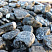 Kamenclub.ru: Щебень галтованный черный (мрамор) фр.20-40 мм.  купить в Волжском мрамор черный с белыми прожилками мрамор окатанный округлый 15000 руб/т   фото КАМЕНЬ КЛУБ
