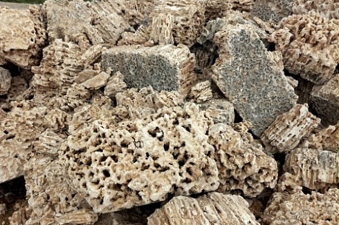 Kamenclub.ru: Крымский природный меотис фр. 100-500 мм.  купить в Волжском меотис бежевый рыжий молочный желтый ракушечник 4 500 руб/т   фото КАМЕНЬ КЛУБ