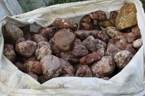 Kamenclub.ru: Розовый валунчик фр.100-300 мм.  купить в Волжском крупный природный камень розовый, серый молочный красный речной галечник природный 7850 руб/т   фото КАМЕНЬ КЛУБ