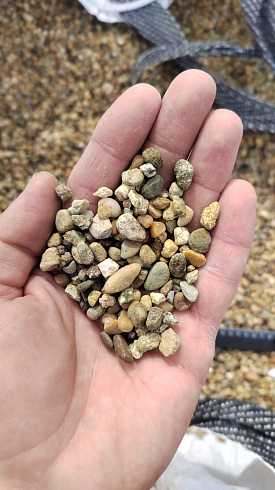 Kamenclub.ru: Галька окат (серо-желтая) фр.5-10 мм. купить  в Волжском галька речная рыжий, желтый, рыжий, серо-желтый речная окатанная галька декоративная 5000 руб/т   фото КАМЕНЬ КЛУБ